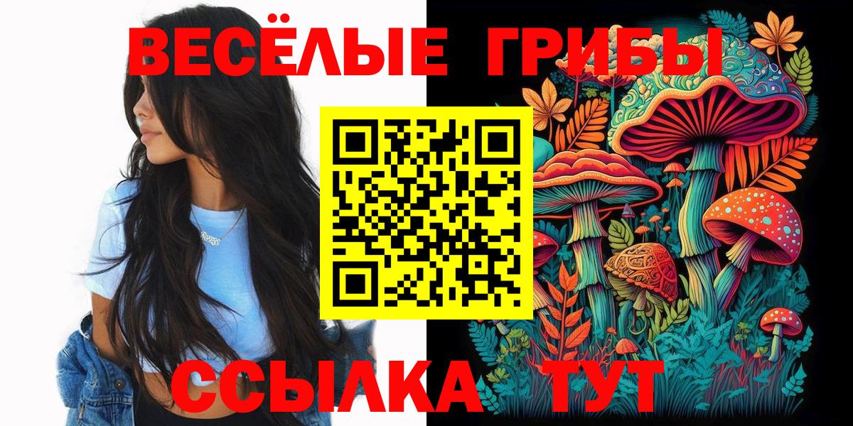 Галлюциногенные грибы Psilocybe Сосновый Бор